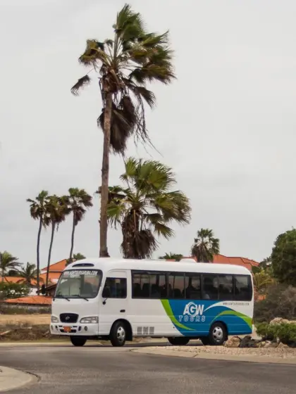 country side bus tour